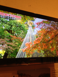 image-20111208215528.png